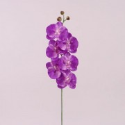 Цветок Фаленопсис светло-фиолетовый Flora 72879
