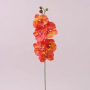Цветок Фаленопсис оранжевый Flora 72876
