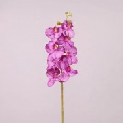Цветок Фаленопсис фиолетовый Flora 72908