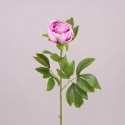 Цветок Пион Flora светло-фиолетовый 71238
