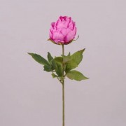 Цветок Пион Flora розовый 71252
