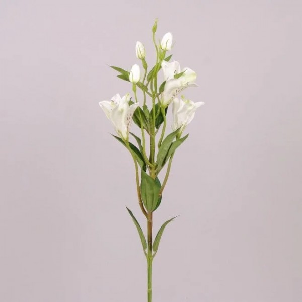 Квітка Альстромерія Flora біла 71314