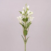Цветок Альстромерия Flora белый 71314