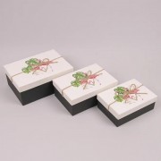 Комплект коробок для подарков Flora 3 шт. 41055