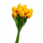 Букет тюльпанов, желто-розовый (8606-007) Elso