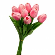 Букет рожевий тюльпанів (8606-008) Elso