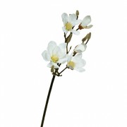 Ветка цветущей магнолии 90 см, белая (8721-013) Elso