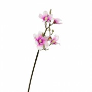 Ветка цветущей магнолии 90 см, розовая (8721-012) Elso