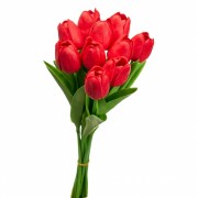 Букет тюльпанов, красный (8606-003) Elso