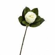 Цветок магнолии, белый (8721-016) Elso