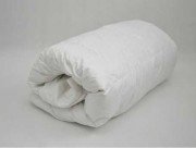 Winter Одеяло с гусиным пером 155х215 см EH