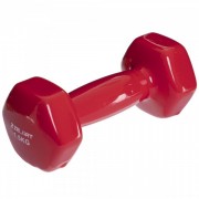 Гантель для фитнеса  Zelart TA-2777-1,5 1,5кг Красный