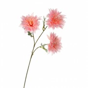 Хризантема, розовая (8725-045) Elso