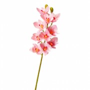 Орхидея ванда, светло-розовая (8701-027) Elso