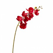 Орхидея фаленопсис, красная (8701-003) Elso