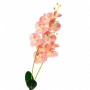 Орхидея катлея, розовая (8701-024) Elso