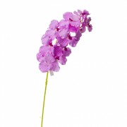 Орхидея онцидиум, сиреневая (8701-035) Elso