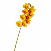 Орхидея ванда, желтая (8701-029) Elso