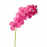 Орхидея онцидиум, розова (8701-033) Elso