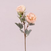 Ветка Розы Flora персиковая 72963