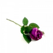 Троянда 1 голова натурал 30см просочення бутон Present 149 Фіолетовий