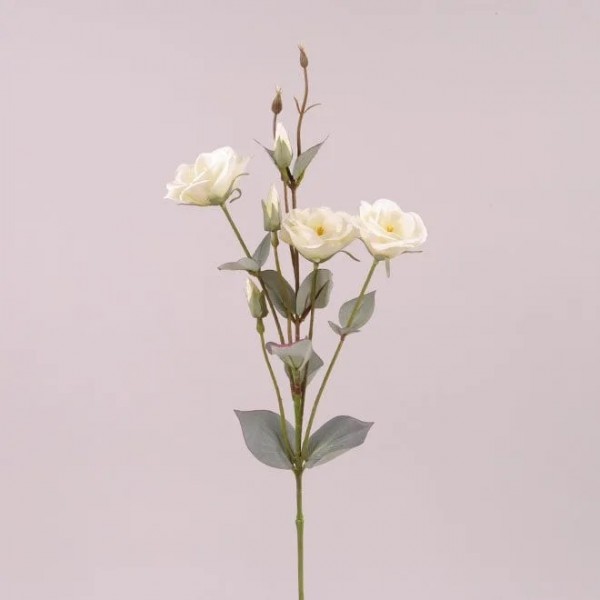 Квітка Еустома Flora кремова 73045