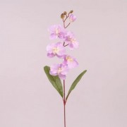 Цветок Фаленопсис Flora светло-фиолетовый 73019