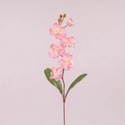 Цветок Фаленопсис Flora розовый 73015