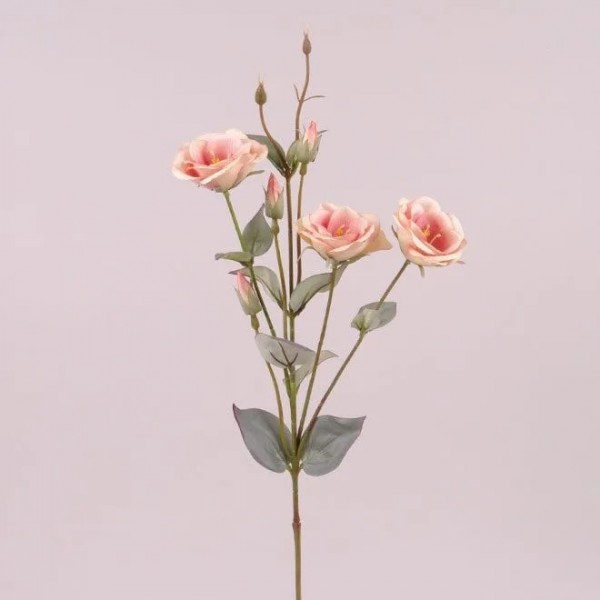 Квітка Еустома Flora рожева пастельна 73044