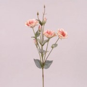 Цветок Эустома Flora розовый пастельный 73044