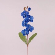 Цветок Фаленопсис Flora синий 73018