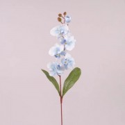 Цветок Фаленопсис Flora голубой 73020