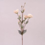 Цветок Эустома Flora персиковый 73048