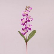 Цветок Фаленопсис Flora фиолетовый 73022