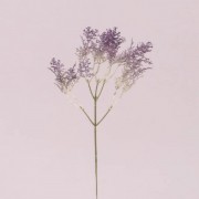 Набор веточек декоративных Flora с фиолетовым цветом 73008
