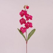 Цветок Фаленопсис Flora малиновый 73016