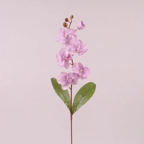 Цветок Фаленопсис Flora фиолетовый 73013