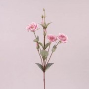 Цветок Эустома Flora фиолетовый 73046