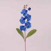Цветок Фаленопсис Flora синий 73023