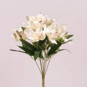 Букет Орхидей Flora кремовый 73031