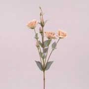 Цветок Эустома Flora бежевый 73050