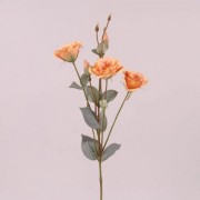 Цветок Эустома Flora оранжевый 73047