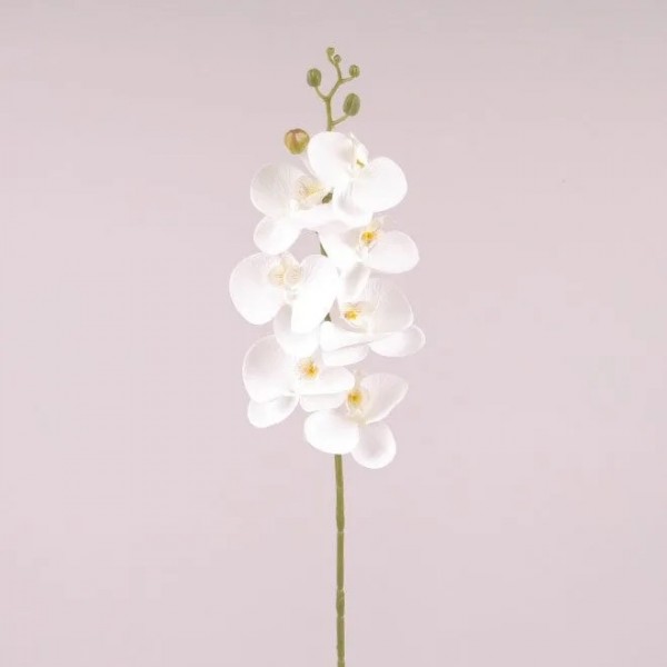 Квітка Фаленопсис Flora біла 73043