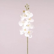 Цветок Фаленопсис Flora белый 73043