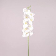 Цветок Фаленопсис Flora из латекса белый 73006