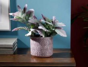 Marva Горшок для цветов 12.5х14х14 см лиловый EH