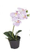 Орхидея Фаленопсис искусственная в пластиковом горшочке 15X6X17см Present 10018406 Розовый