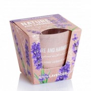 Свеча ароматическая Flora Nature and Harmony (100% Lavender) 28745