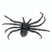 Павук Чорна вдова Halloween 19-221BLK