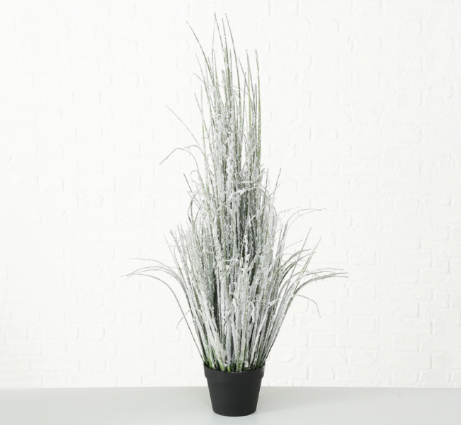 Декоративное растение Рresent (трава) в горшке h116см 1015610